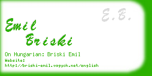 emil briski business card